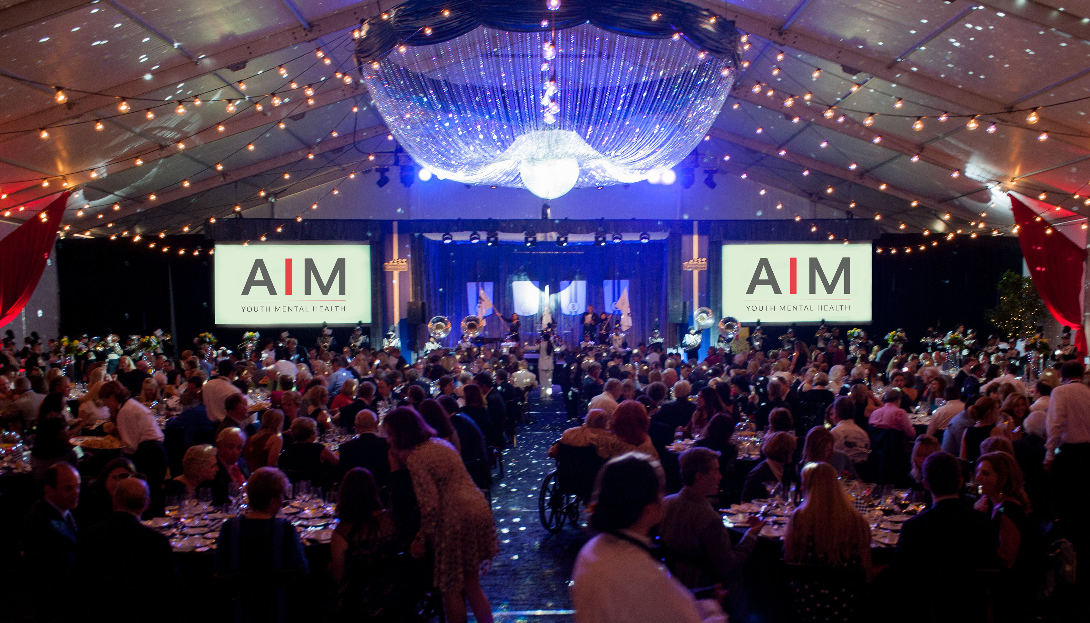 AIM for the Cures Gala